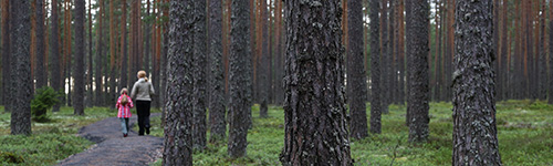 Retkellä Kauhanevan-Pohjankankaan kansallispuistossa